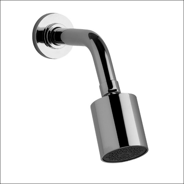 Complete, articulated shower head