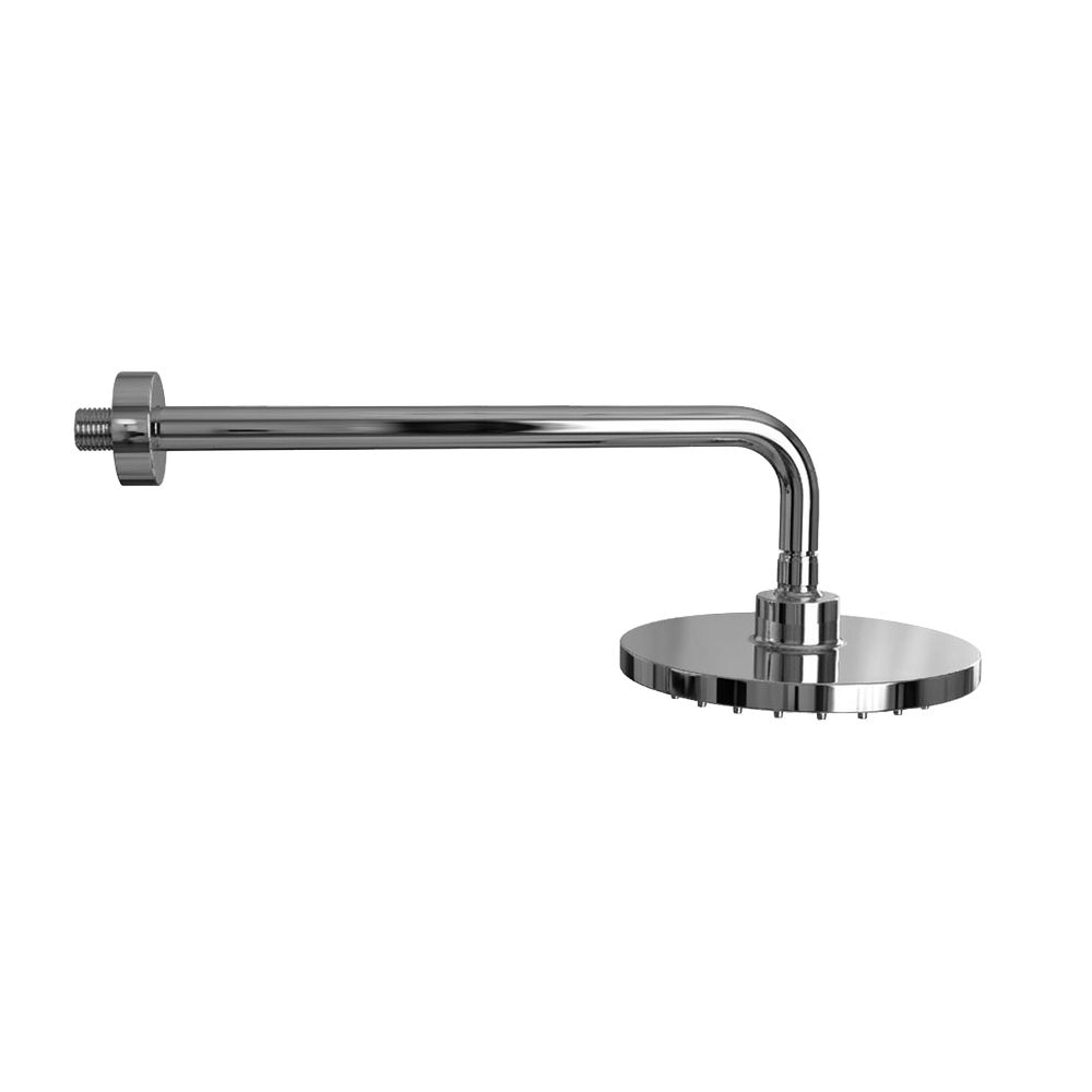 Complete, articulated shower head 