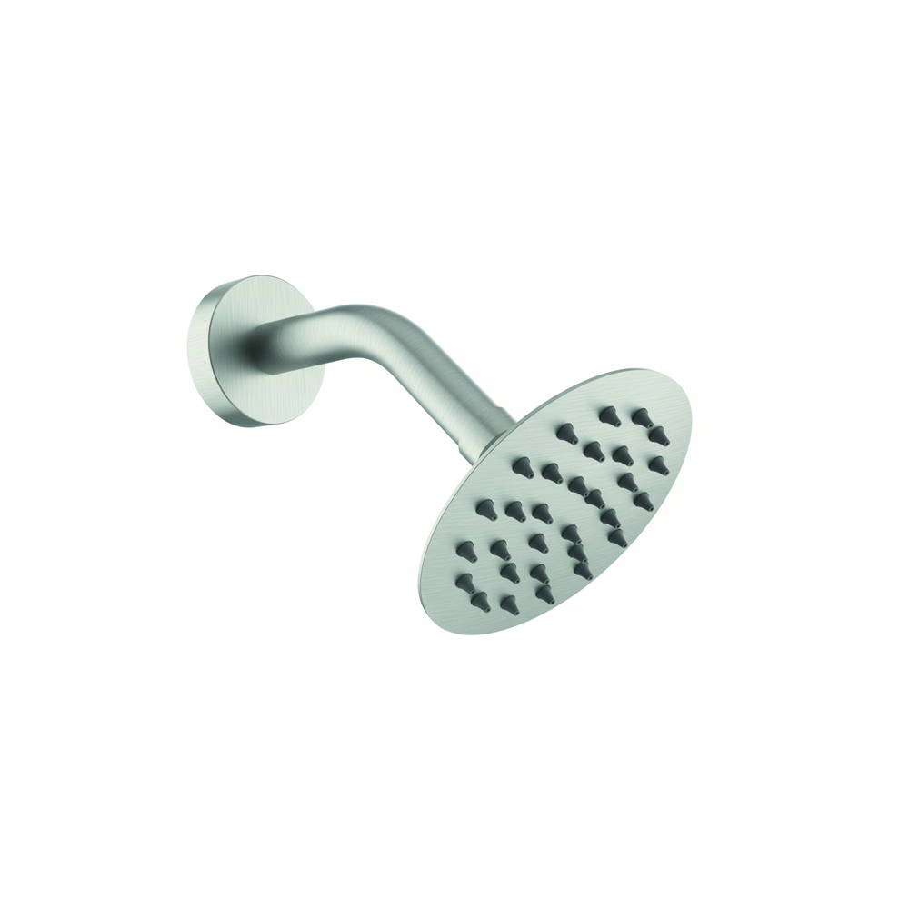 Articulated shower head