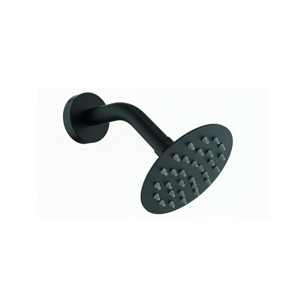 Articulated shower head