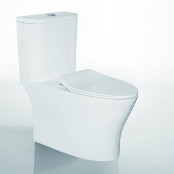 One piece toilet